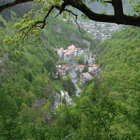 Borjomi Central Park Apartment Exterior foto
