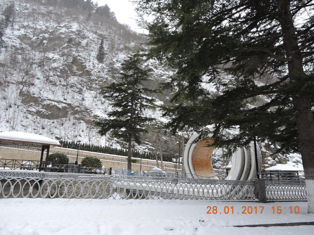 Borjomi Central Park Apartment Exterior foto